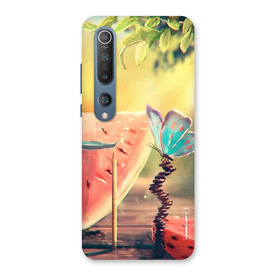 Watermelon Butterfly Back Case for Mi 10
