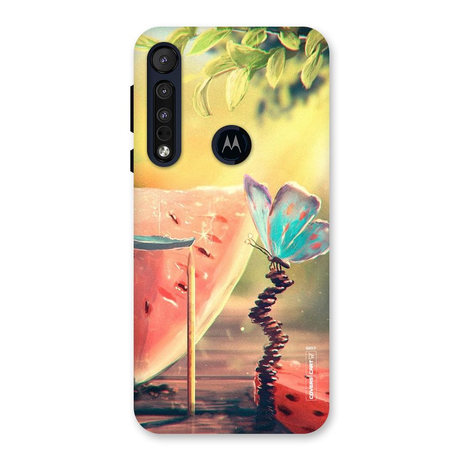 Watermelon Butterfly Back Case for Motorola One Macro