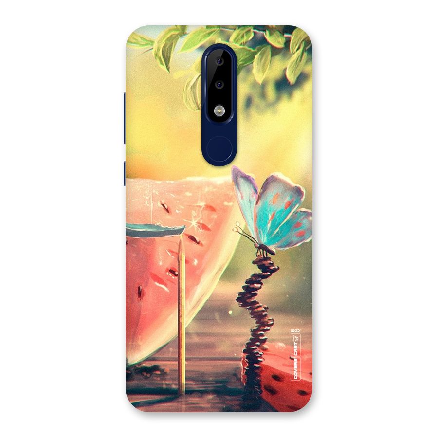 Watermelon Butterfly Back Case for Nokia 5.1 Plus
