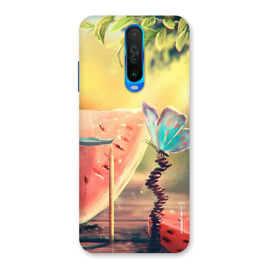 Watermelon Butterfly Back Case for Poco X2
