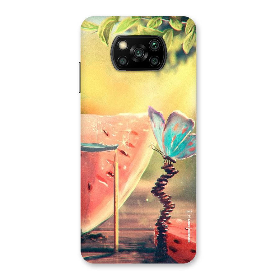 Watermelon Butterfly Back Case for Poco X3