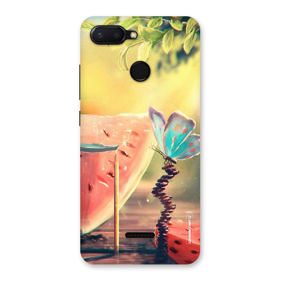 Watermelon Butterfly Back Case for Redmi 6