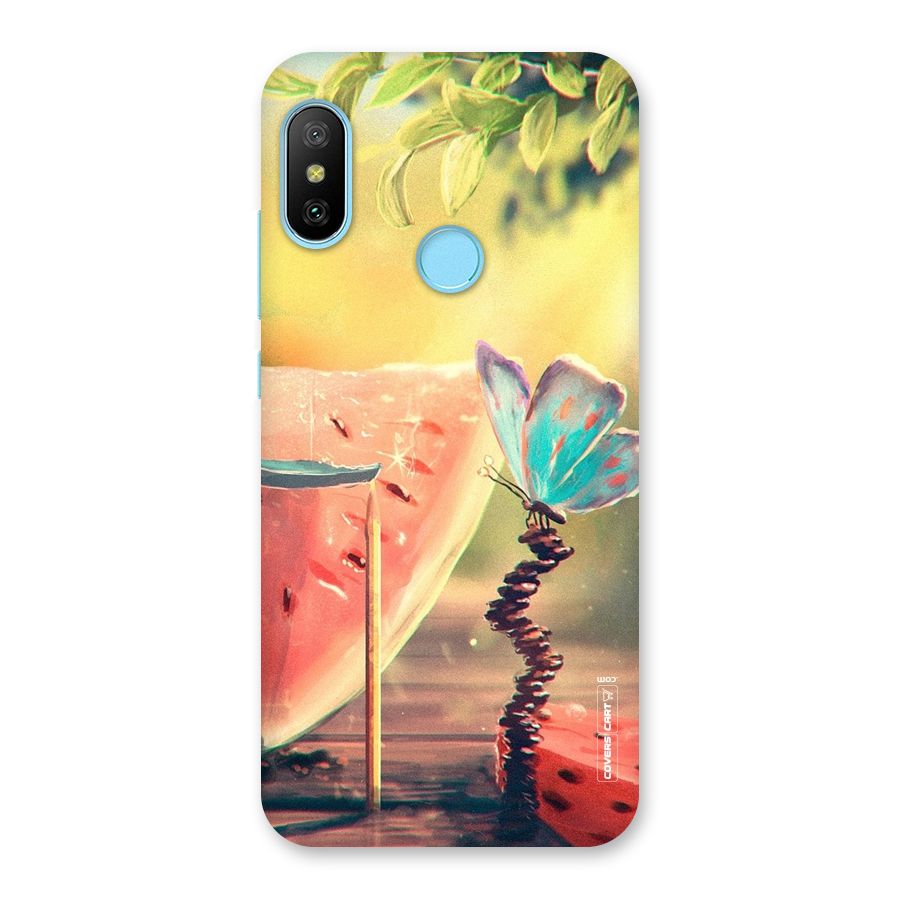 Watermelon Butterfly Back Case for Redmi 6 Pro