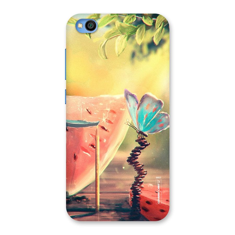 Watermelon Butterfly Back Case for Redmi Go