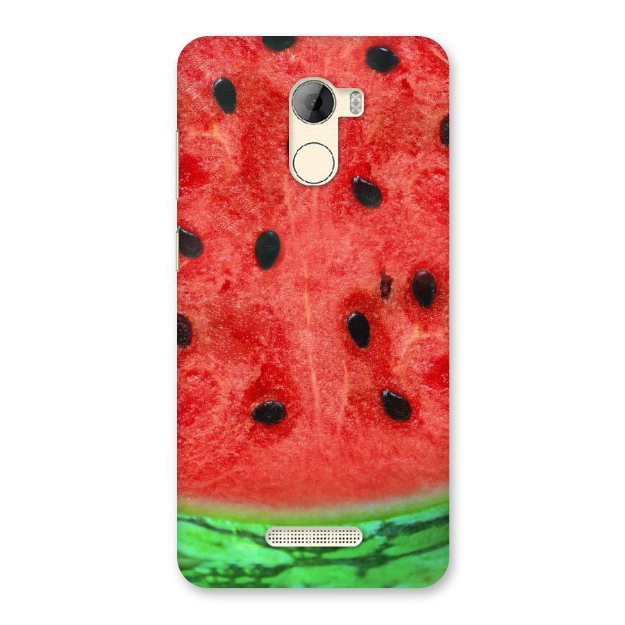 Watermelon Design Back Case for Gionee A1 LIte