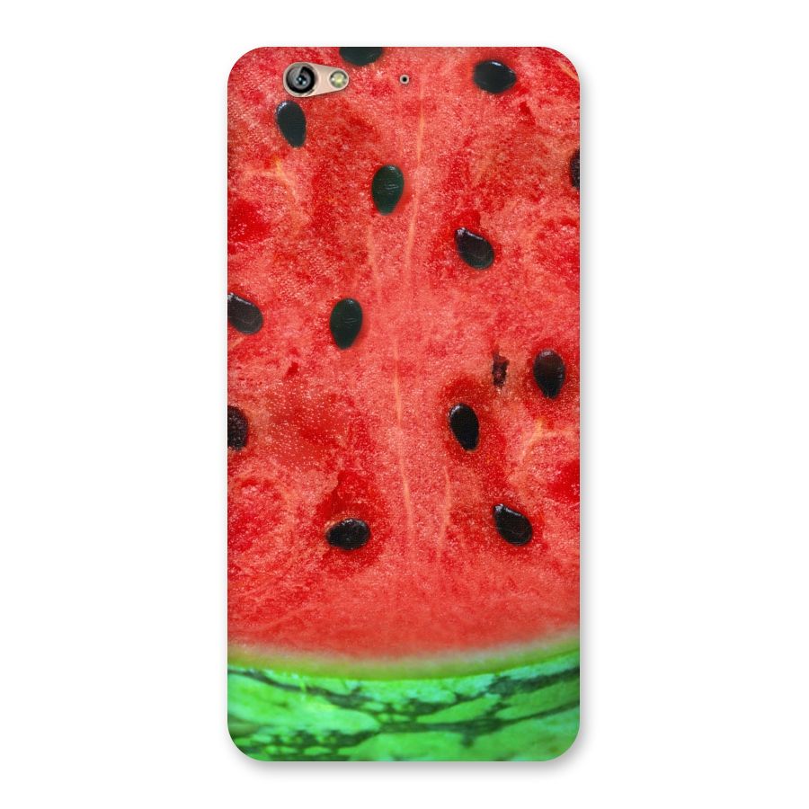 Watermelon Design Back Case for Gionee S6