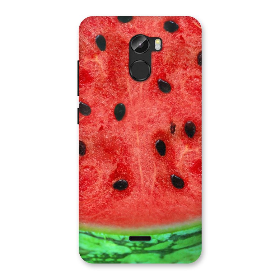 Watermelon Design Back Case for Gionee X1