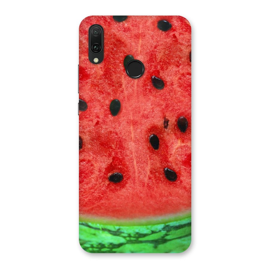 Watermelon Design Back Case for Huawei Y9 (2019)