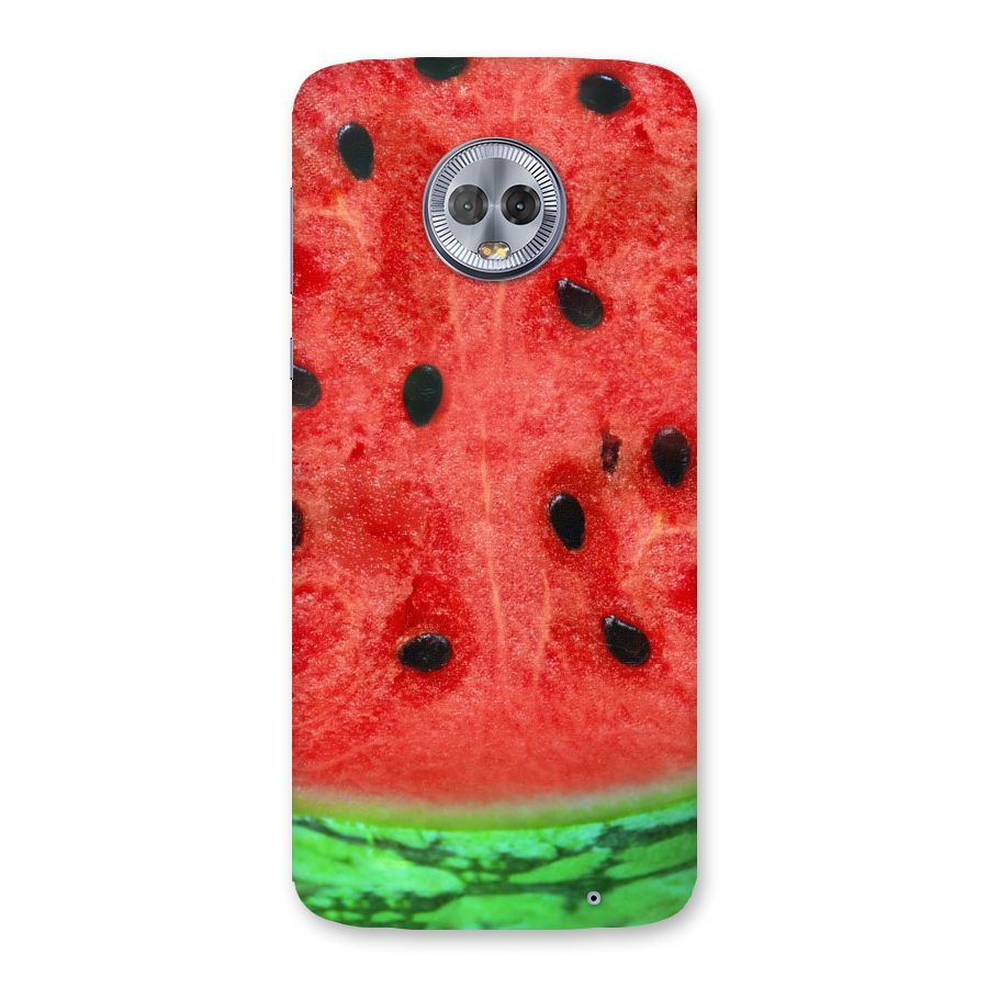 Watermelon Design Back Case for Moto G6 Plus