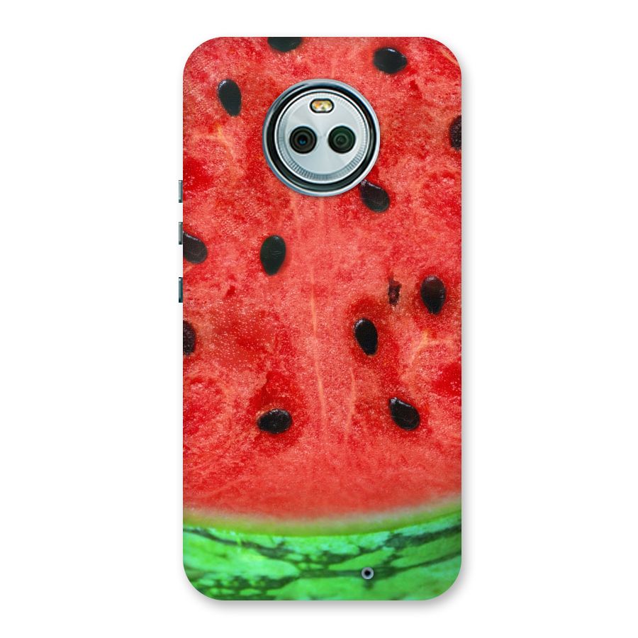 Watermelon Design Back Case for Moto X4