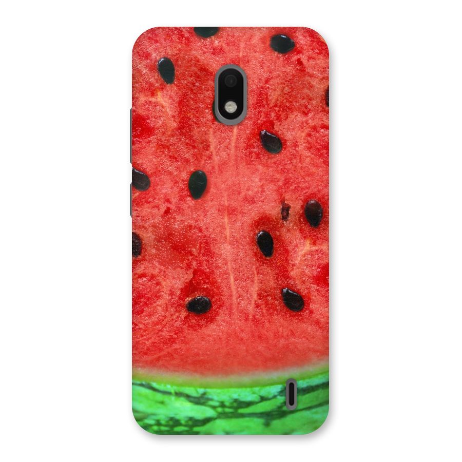 Watermelon Design Back Case for Nokia 2.2