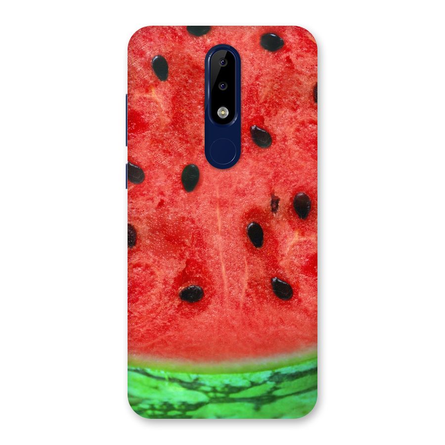 Watermelon Design Back Case for Nokia 5.1 Plus