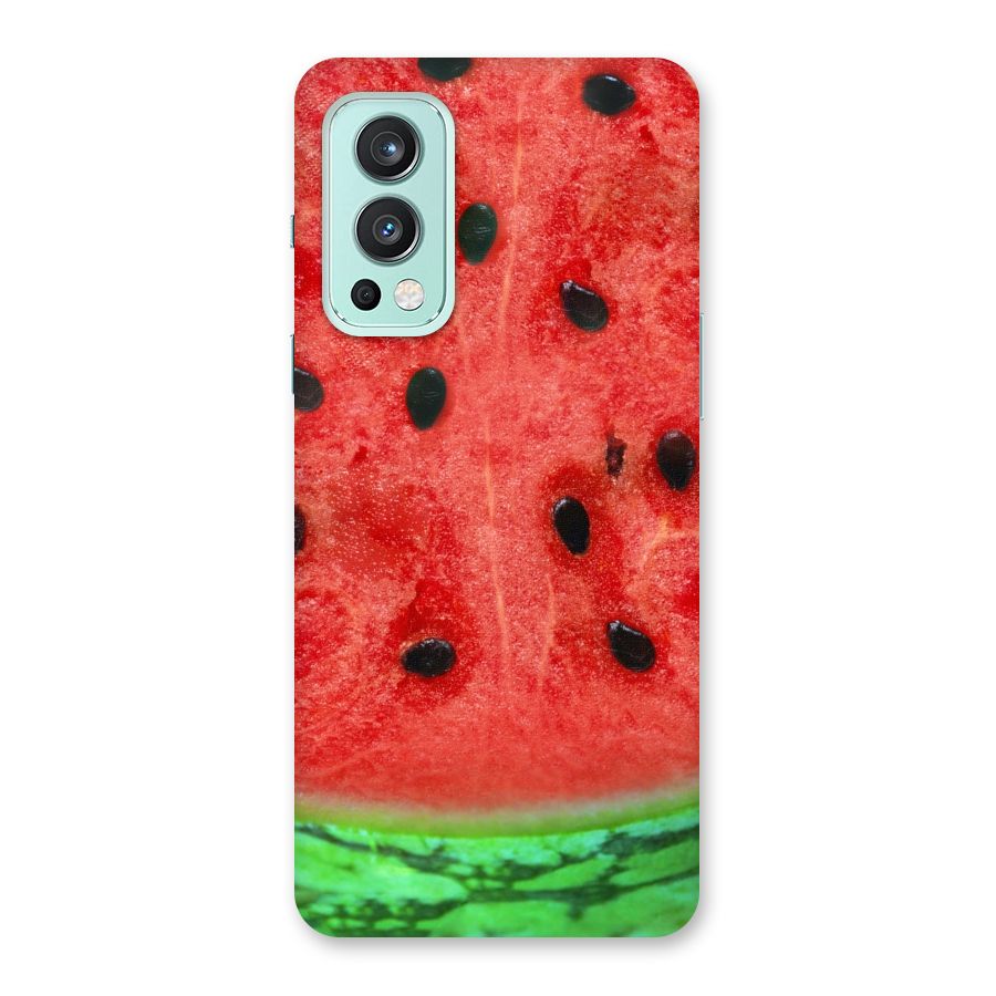 Watermelon Design Back Case for OnePlus Nord 2 5G