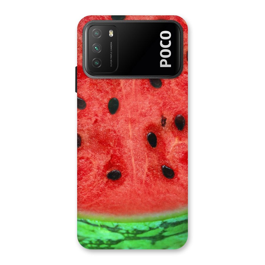 Watermelon Design Back Case for Poco M3