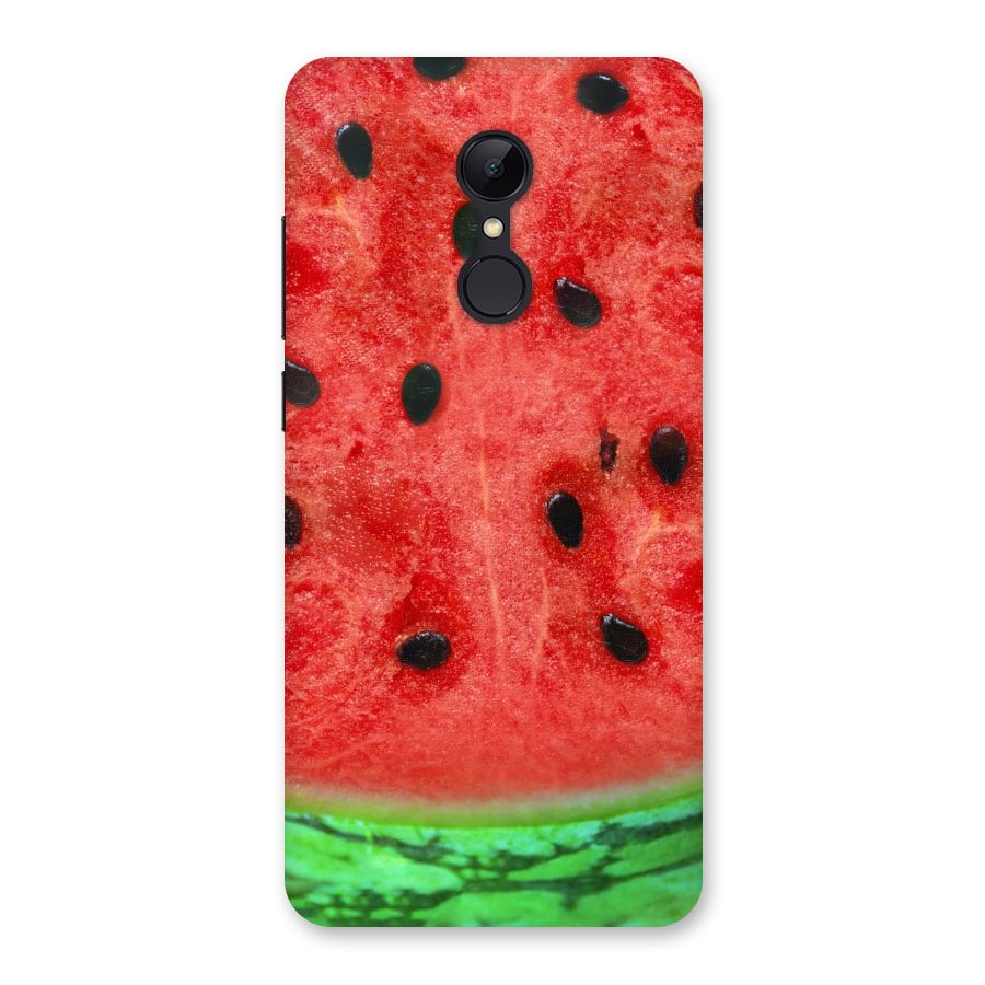 Watermelon Design Back Case for Redmi 5