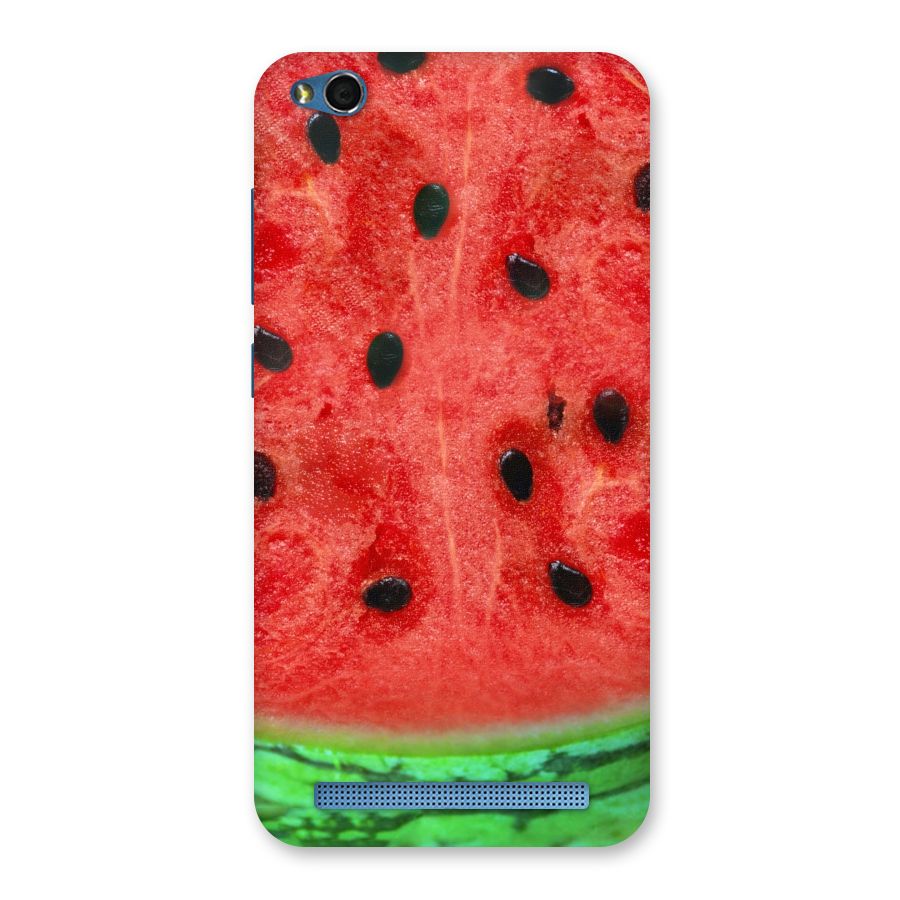 Watermelon Design Back Case for Redmi 5A