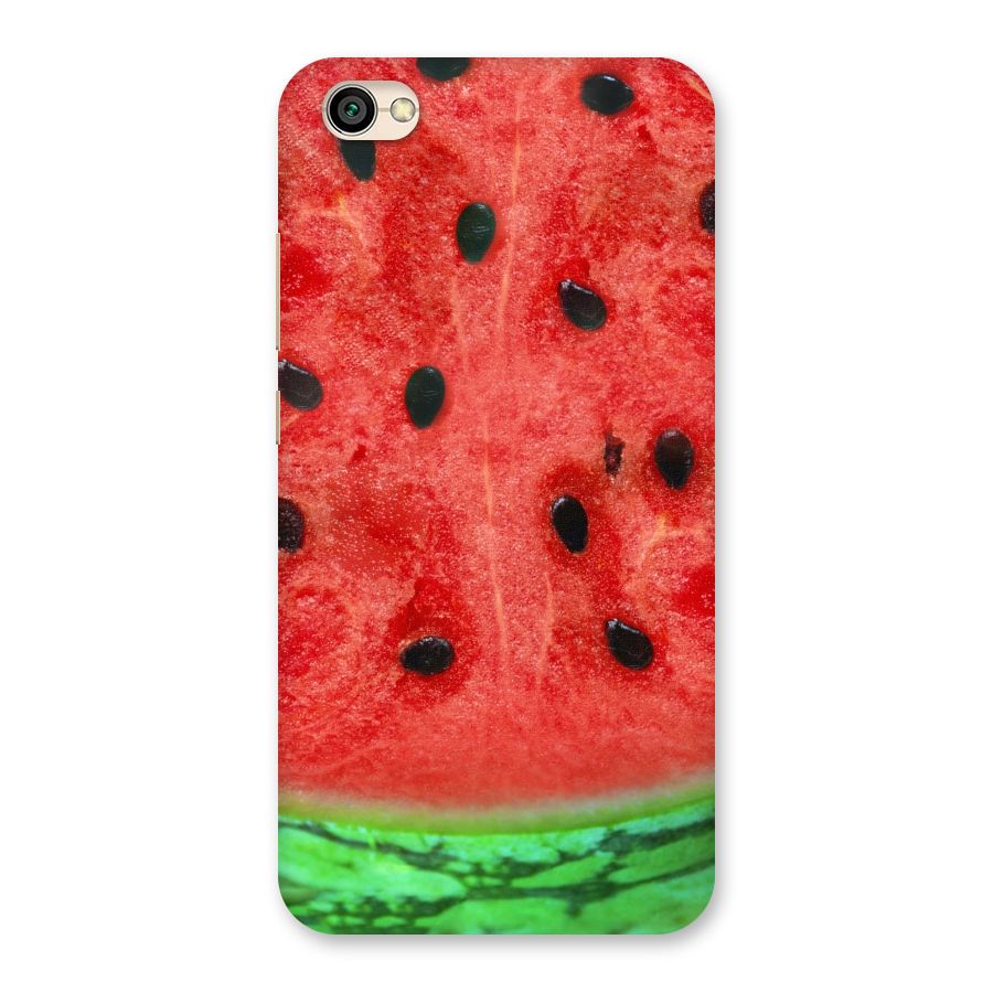 Watermelon Design Back Case for Redmi Y1 Lite