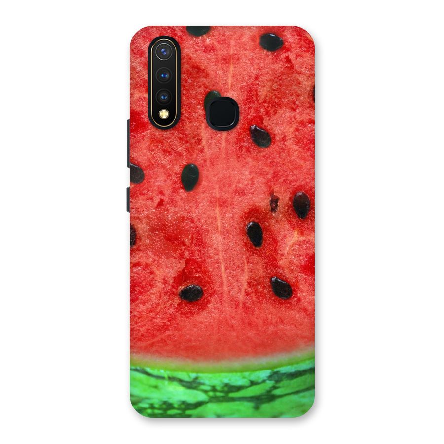 Watermelon Design Back Case for Vivo U20