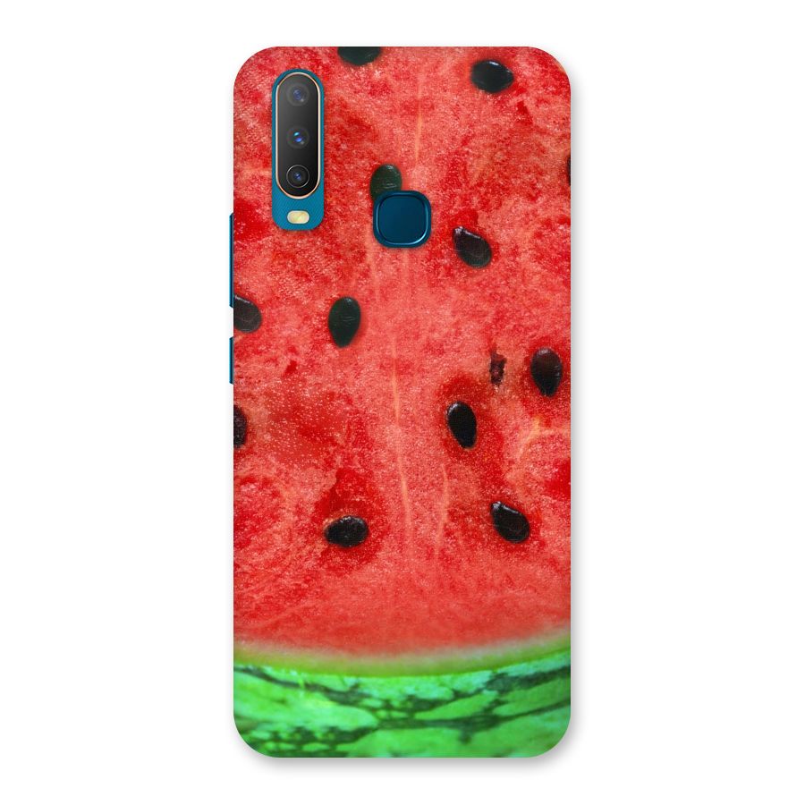 Watermelon Design Back Case for Vivo Y11