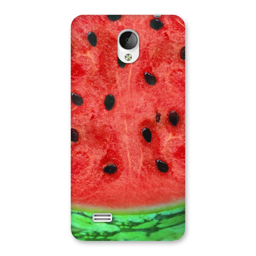 Watermelon Design Back Case for Vivo Y21