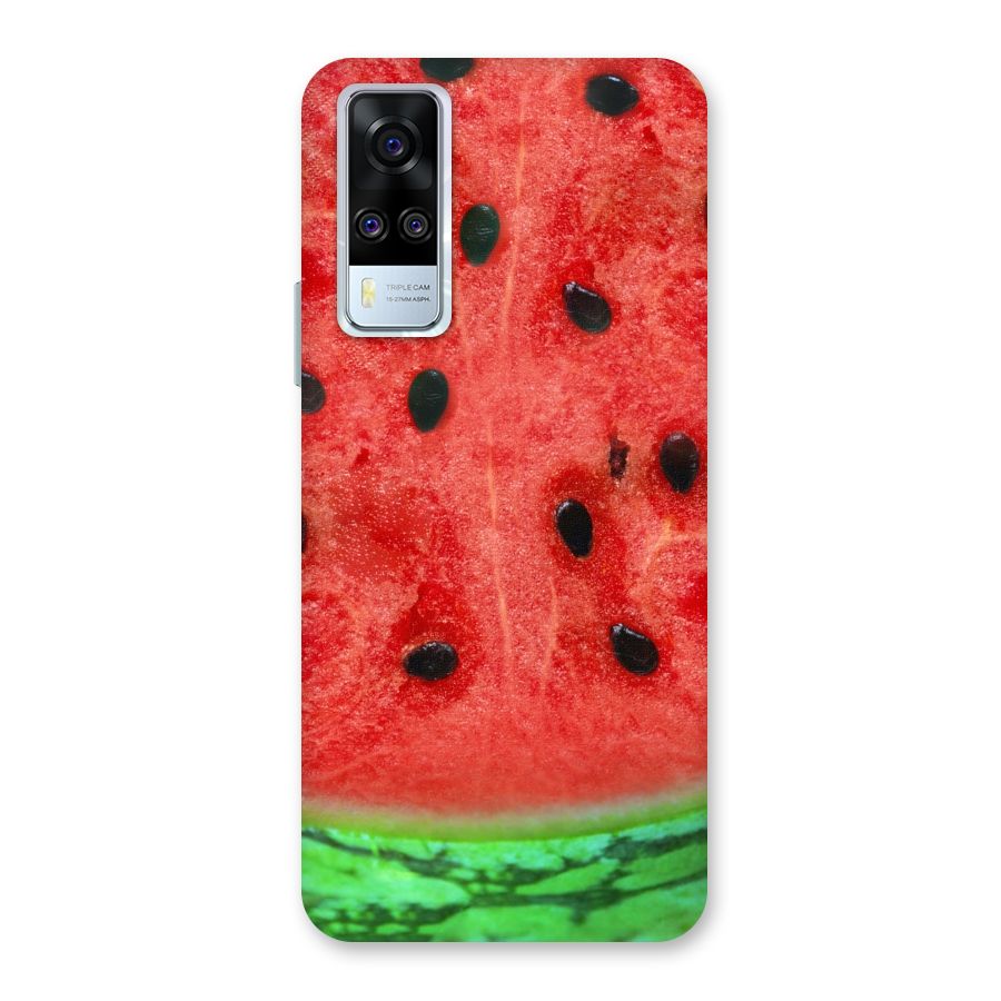 Watermelon Design Back Case for Vivo Y31