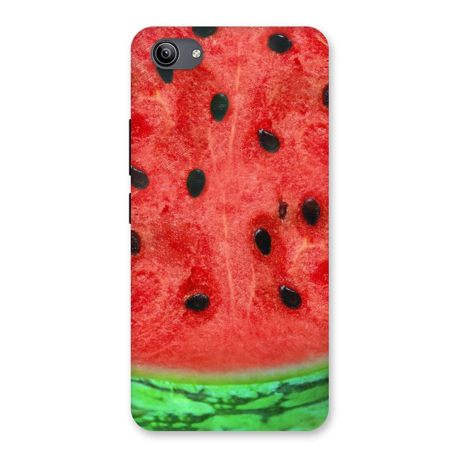 Watermelon Design Back Case for Vivo Y81i