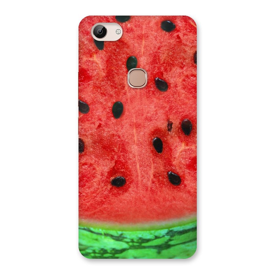 Watermelon Design Back Case for Vivo Y83