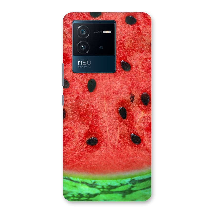 Watermelon Design Back Case for Vivo iQOO Neo 6 5G