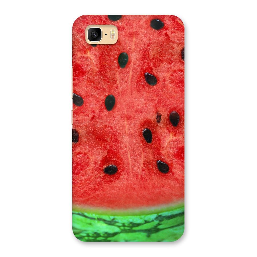 Watermelon Design Back Case for Zenfone 3s Max