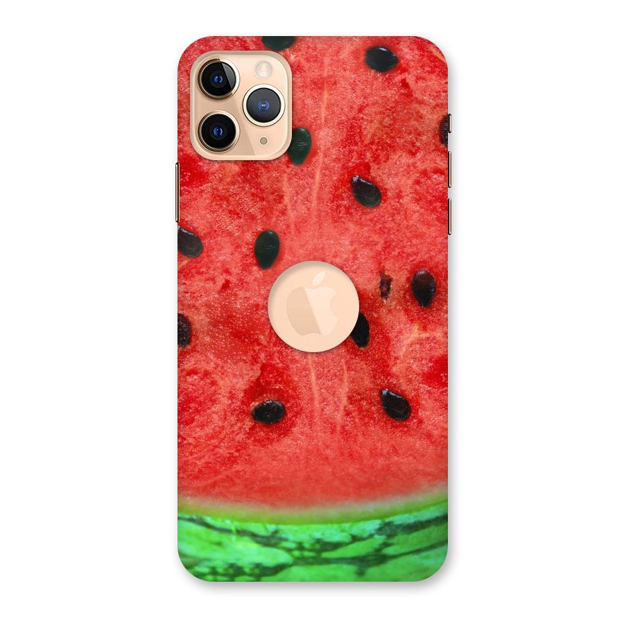 Watermelon Design Back Case for iPhone 11 Pro Max Logo Cut