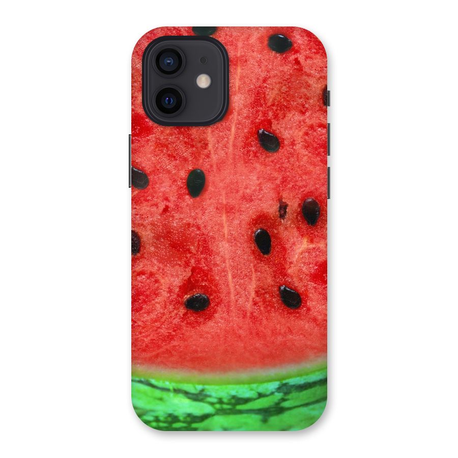 Watermelon Design Back Case for iPhone 12