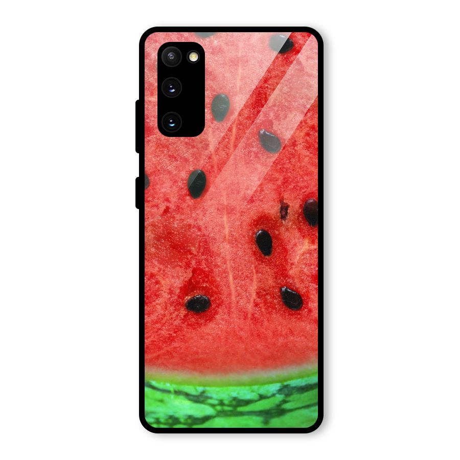 Watermelon Design Glass Back Case for Galaxy S20 FE 5G