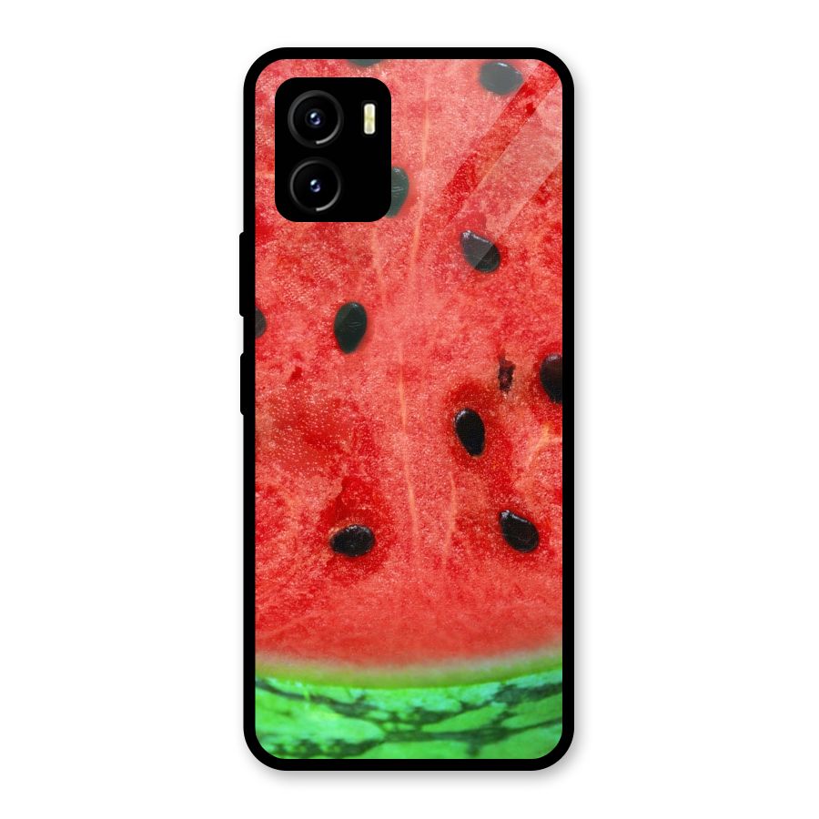 Watermelon Design Glass Back Case for Vivo Y15s