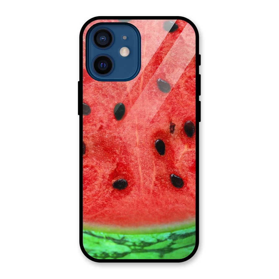 Watermelon Design Glass Back Case for iPhone 12 Mini