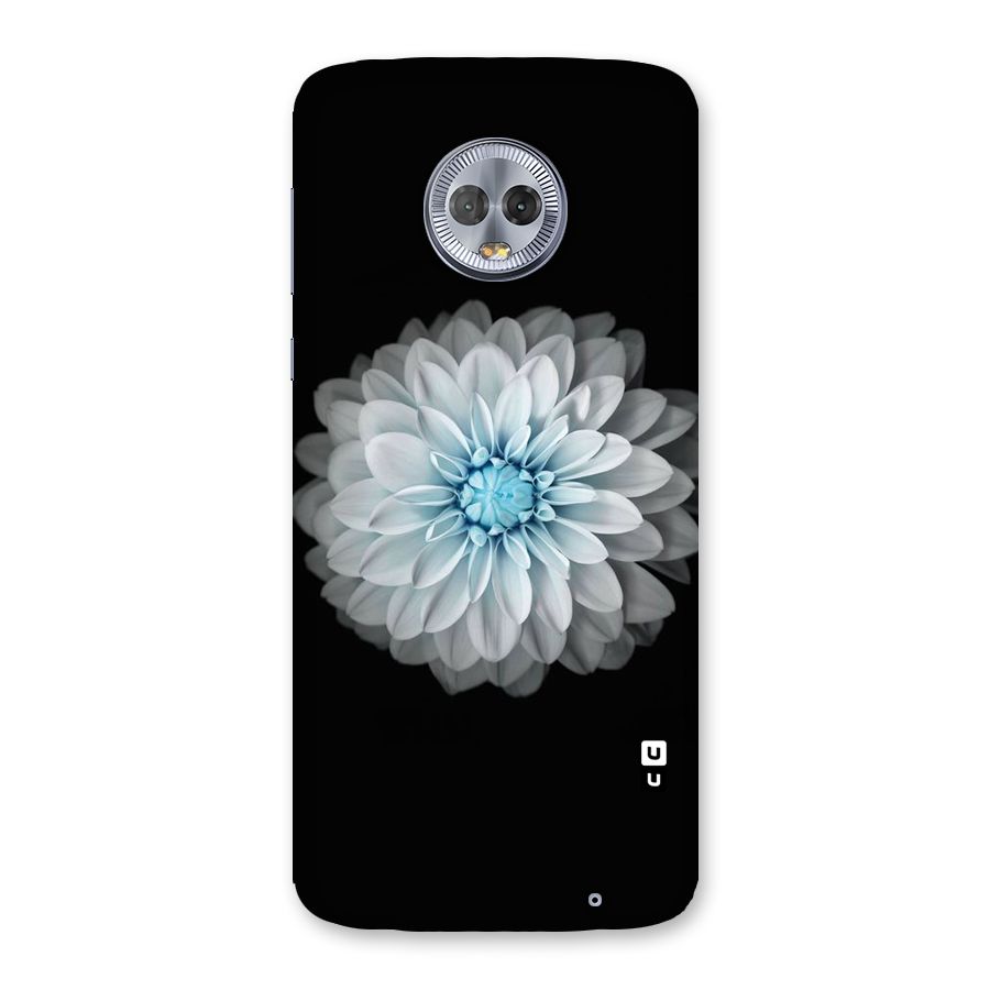 White Bloom Back Case for Moto G6 Plus
