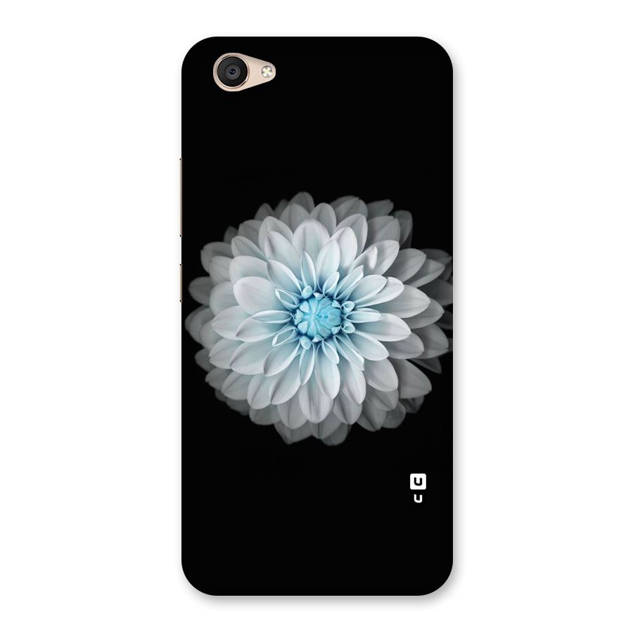 White Bloom Back Case for Vivo V5 Plus