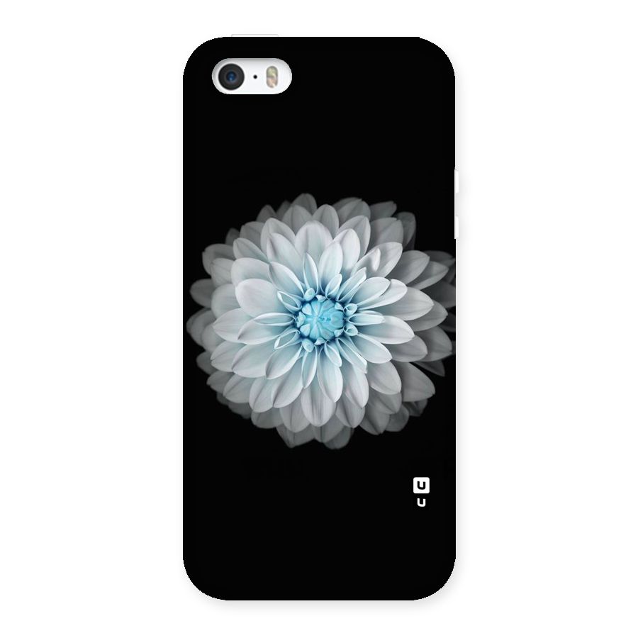 White Bloom Back Case for iPhone 5 5S