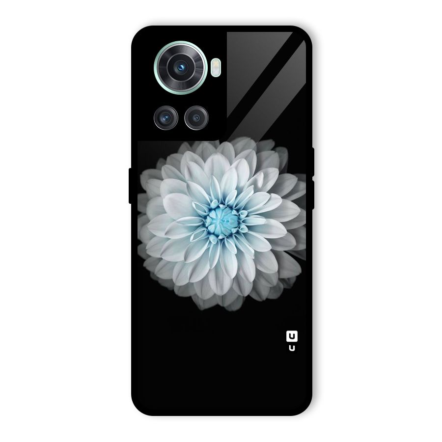 White Bloom Glass Back Case for OnePlus 10R