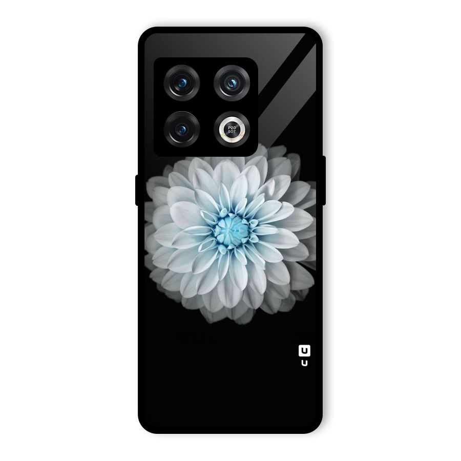 White Bloom Glass Back Case for OnePlus 10 Pro 5G
