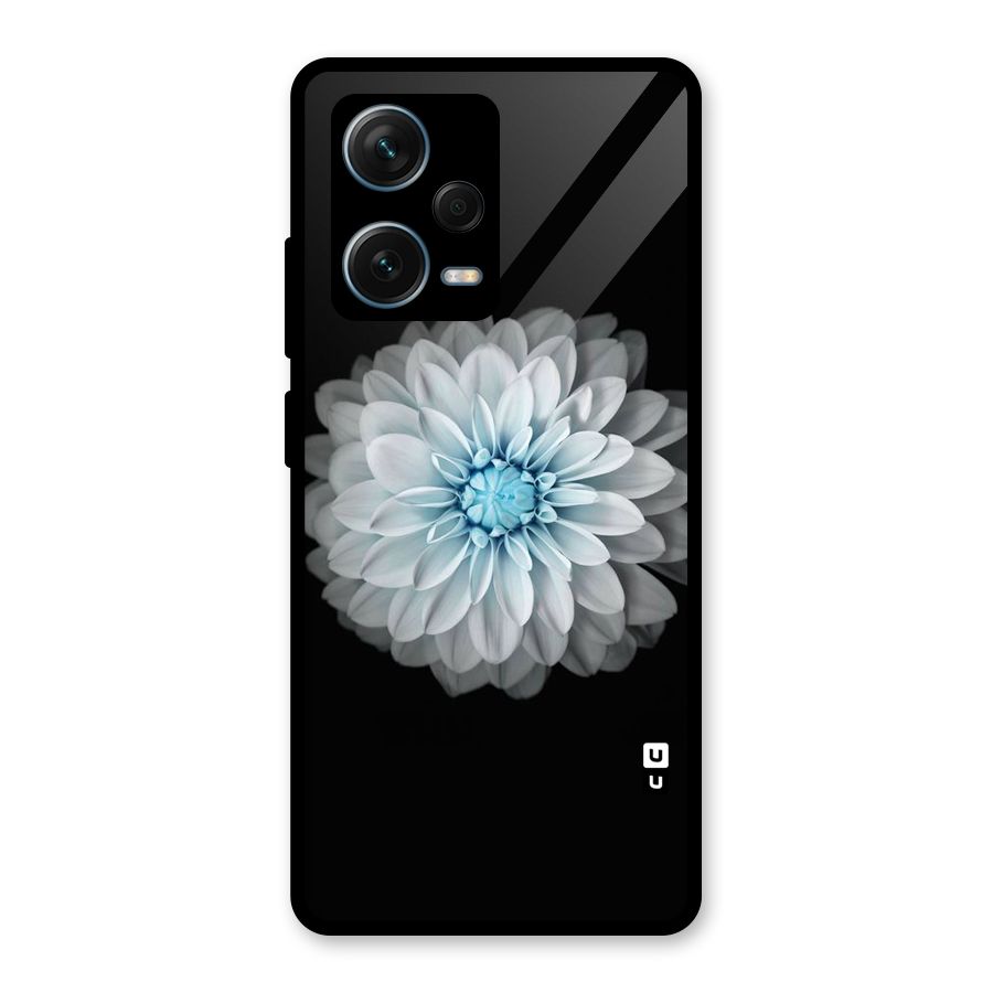 White Bloom Glass Back Case for Redmi Note 12 Pro Plus 5G