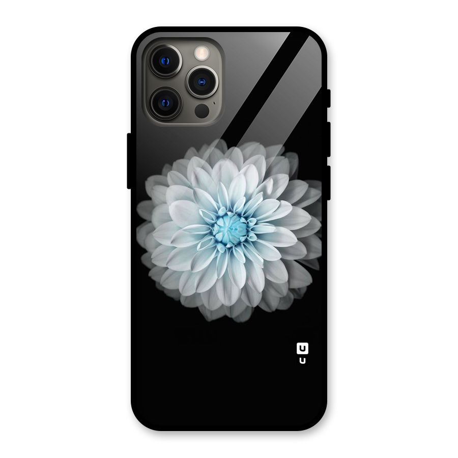 White Bloom Glass Back Case for iPhone 12 Pro Max