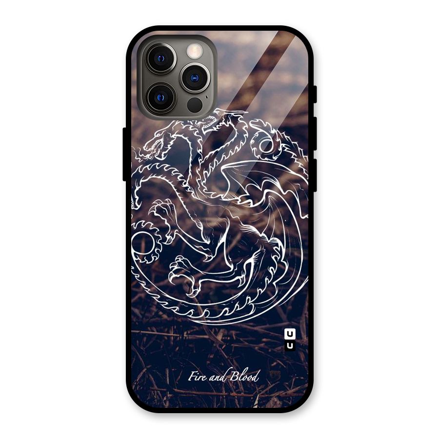 White Circle Glass Back Case for iPhone 12 Pro