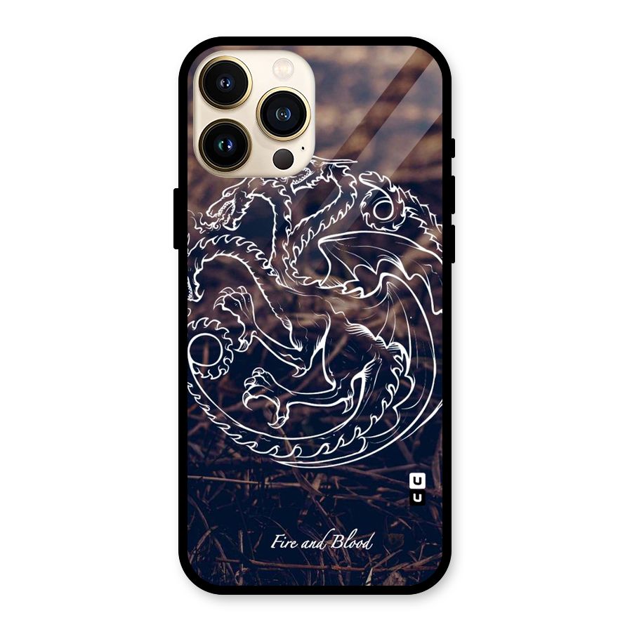 White Circle Glass Back Case for iPhone 13 Pro Max