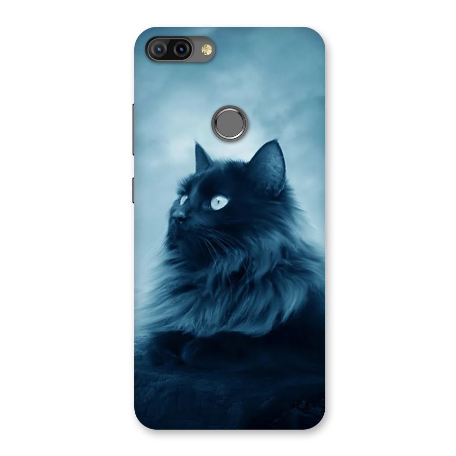 Wild Forest Cat Back Case for Infinix Hot 6 Pro