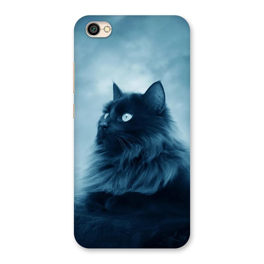 Wild Forest Cat Back Case for Redmi Y1 Lite