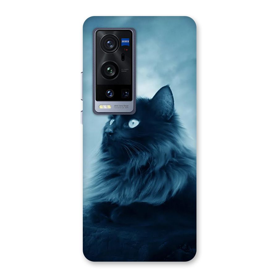 Wild Forest Cat Back Case for Vivo X60 Pro Plus