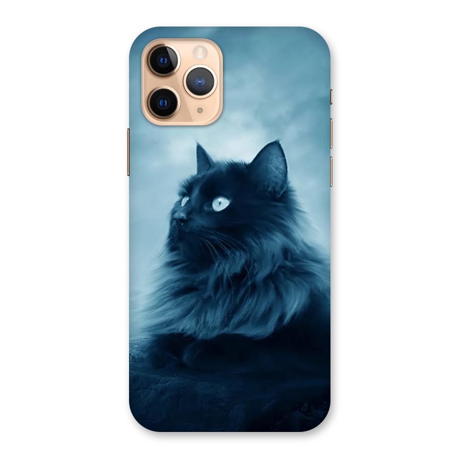 Wild Forest Cat Back Case for iPhone 11 Pro