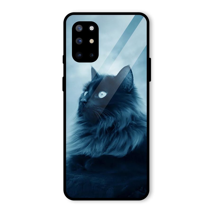 Wild Forest Cat Glass Back Case for OnePlus 8T