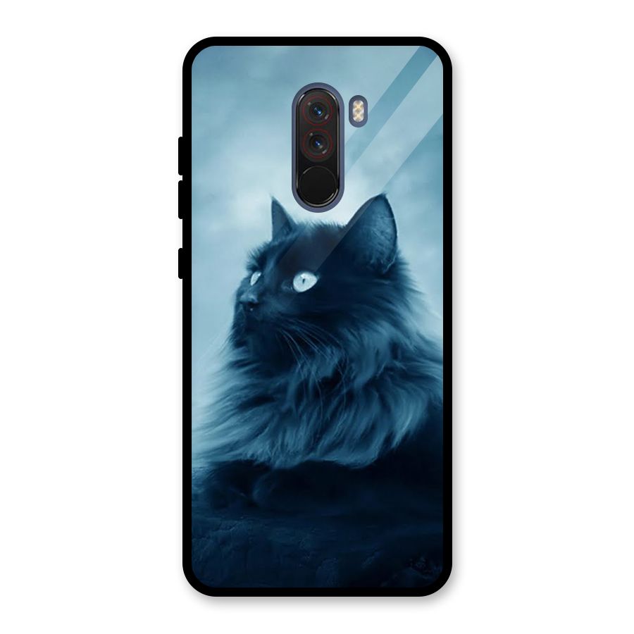 Wild Forest Cat Glass Back Case for Poco F1