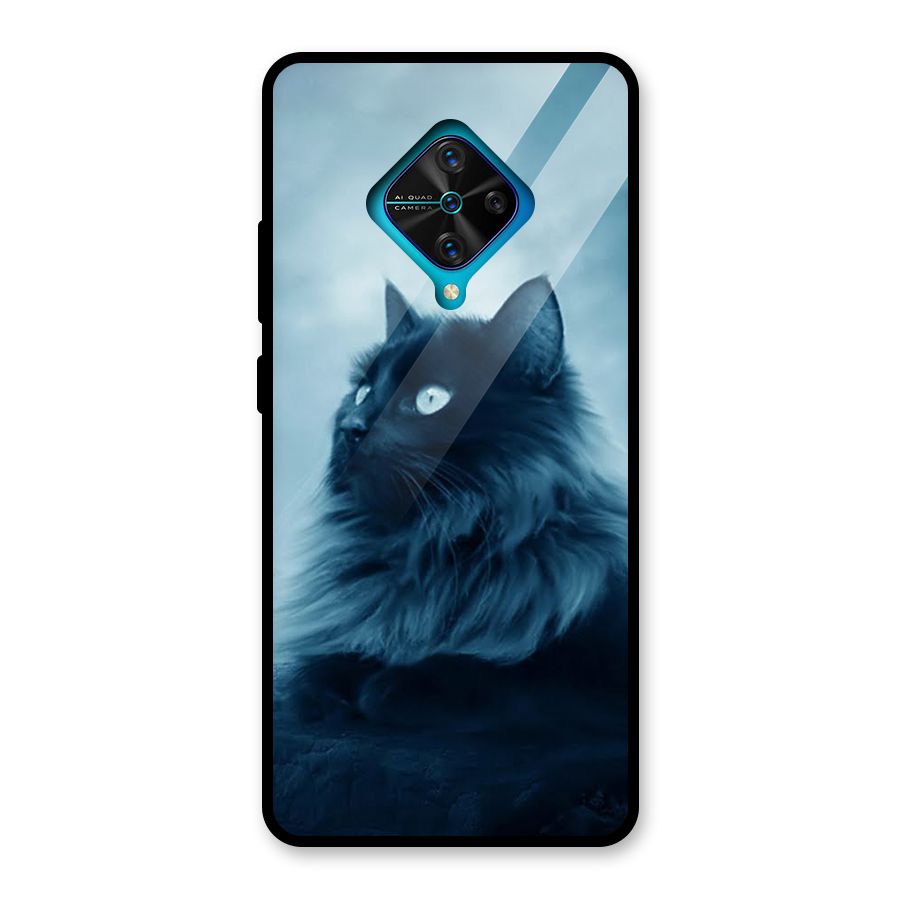 Wild Forest Cat Glass Back Case for Vivo S1 Pro